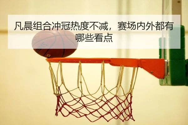 fan-chen-zu-he-chong-guan-re-du-bu-jian-sai-chang-nei-wai-dou-you-na-xie-kan-dian-2-116.jpg